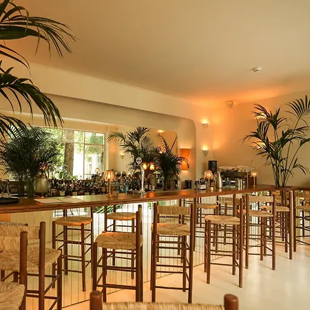 Apollo Palm Hotel-2